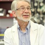 Daniel R. Schoenberg
